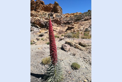 14 maggio Teide